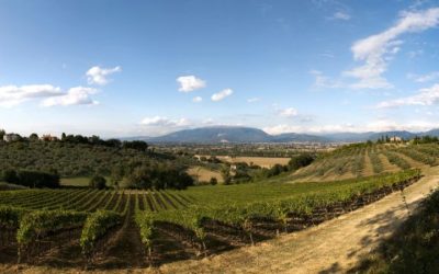 LA POTENTE ANTEPRIMA DEL SAGRANTINO